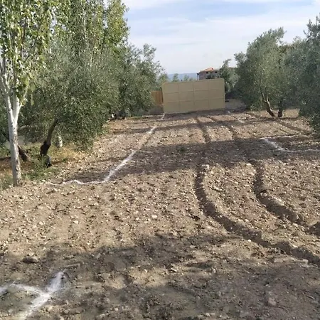 Cortijo La Torre De Caniles * La Vega (Granada)