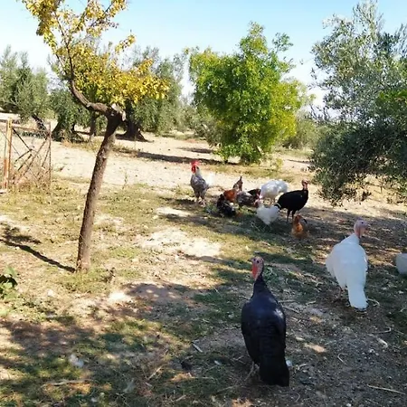 Cortijo La Torre De Caniles بيت للعطل *