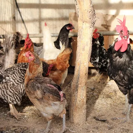 Cortijo La Torre De Caniles * La Vega (Granada)