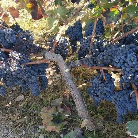 בית נופש Cortijo La Torre De Caniles *