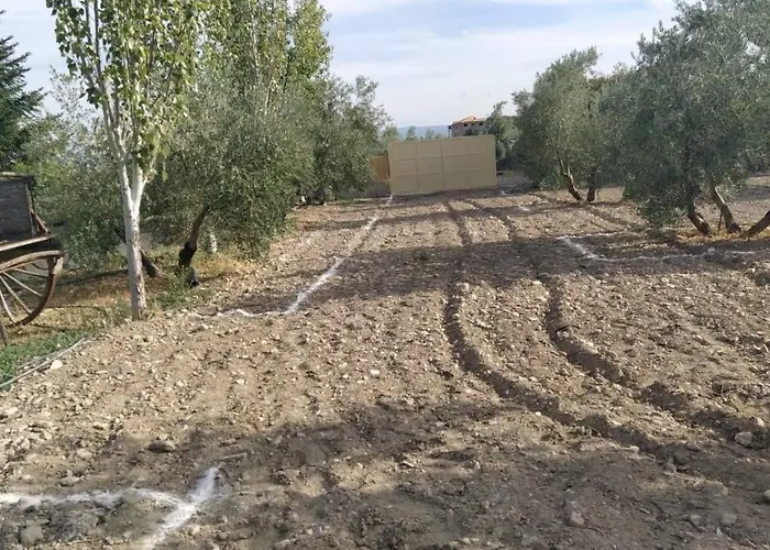 Cortijo La Torre De Caniles * La Vega (Granada)