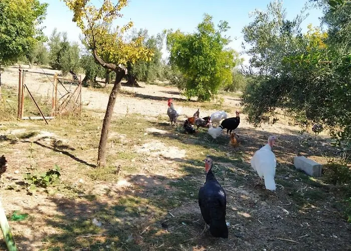 Cortijo La Torre De Caniles Сasa de vacaciones *