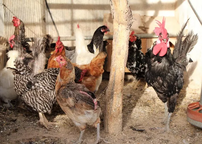 Cortijo La Torre De Caniles * La Vega (Granada)