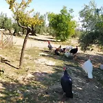 Cortijo La Torre De Caniles Дом отдыха *